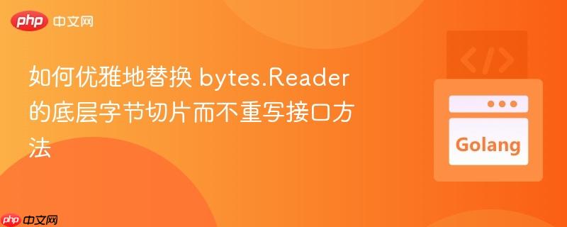 如何优雅地替换 bytes.Reader 的底层字节切片而不重写接口方法