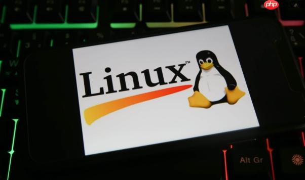Linux内存使用情况分析_free与vmstat实战说明【指导】