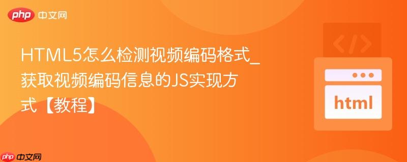 HTML5怎么检测视频编码格式_获取视频编码信息的JS实现方式【教程】