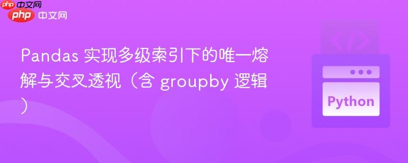 Pandas 实现多级索引下的唯一熔解与交叉透视（含 groupby 逻辑）