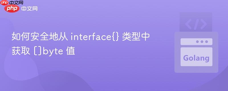 如何安全地从 interface{} 类型中获取 []byte 值