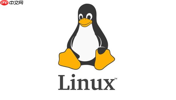 Linux网络运维经验总结_常见问题处理解析【指导】
