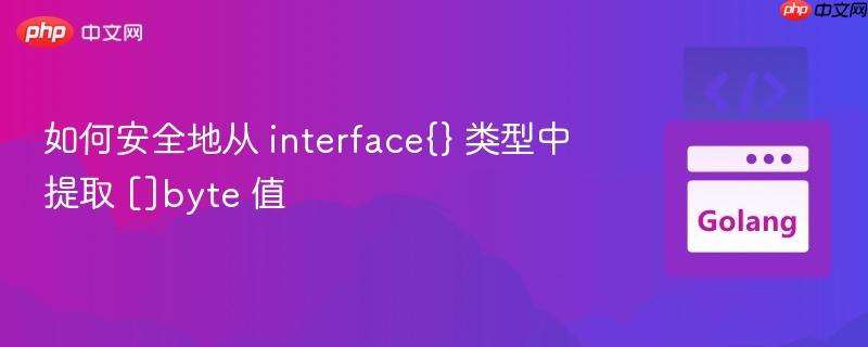 如何安全地从 interface{} 类型中提取 []byte 值