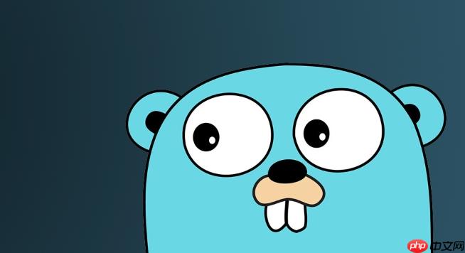 如何使用Golang实现类型转换检测_Golang reflect类型判断与转换示例