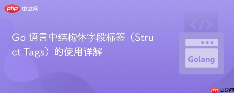 Go 语言中结构体字段标签（Struct Tags）的使用详解