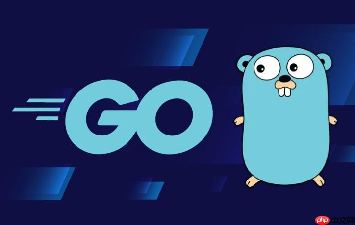 如何使用Golang reflect操作切片长度和容量_动态调整切片
