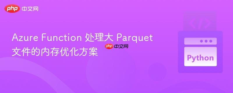 Azure Function 处理大 Parquet 文件的内存优化方案