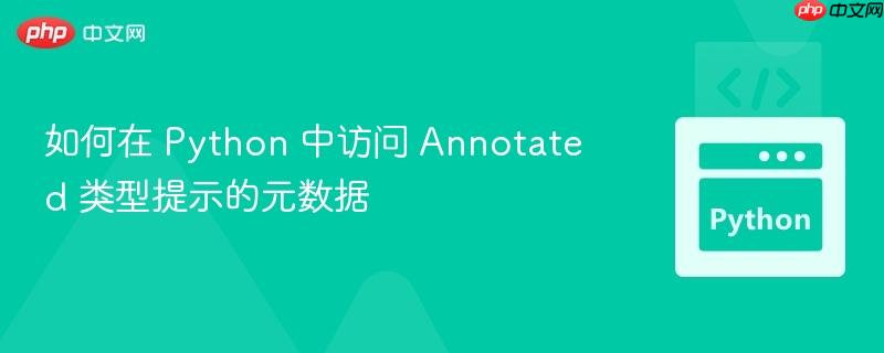 如何在 Python 中访问 Annotated 类型提示的元数据