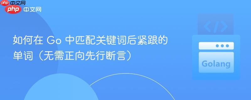 如何在 Go 中匹配关键词后紧跟的单词（无需正向先行断言）
