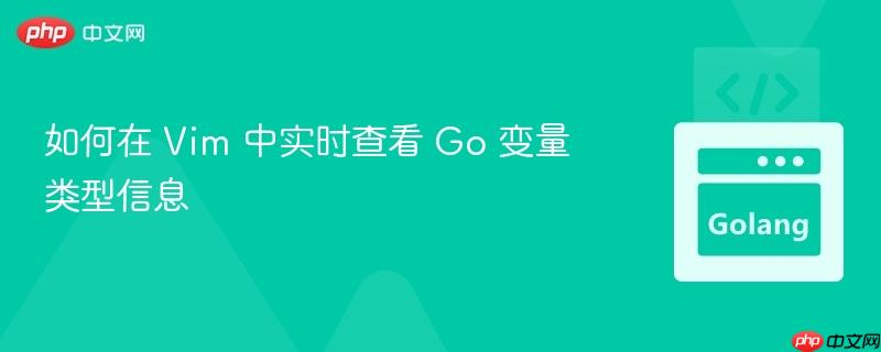 如何在 Vim 中实时查看 Go 变量类型信息