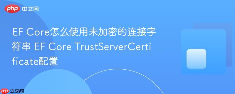 EF Core怎么使用未加密的连接字符串 EF Core TrustServerCertificate配置
