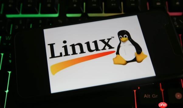 Linux日志暴涨问题排查教程_日志切割与限流实践
