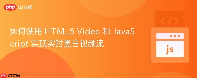 如何使用 HTML5 Video 和 JavaScript 实现实时黑白视频流