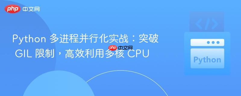 Python 多进程并行化实战：突破 GIL 限制，高效利用多核 CPU