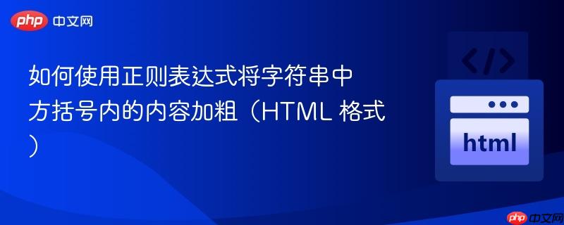 如何使用正则表达式将字符串中方括号内的内容加粗（HTML 格式）