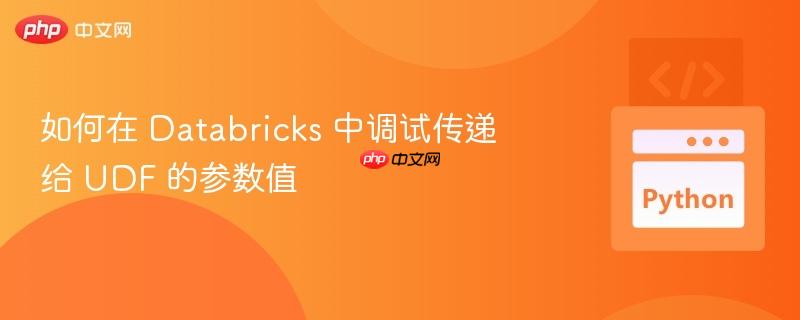如何在 Databricks 中调试传递给 UDF 的参数值