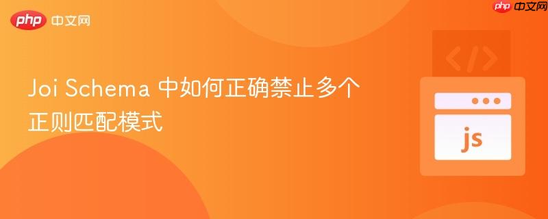 Joi Schema 中如何正确禁止多个正则匹配模式