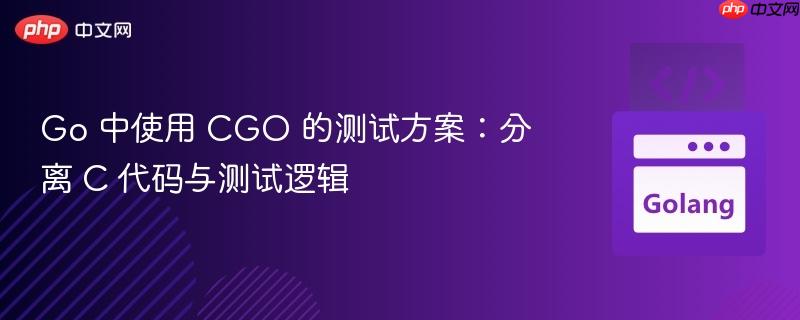 Go 中使用 CGO 的测试方案：分离 C 代码与测试逻辑