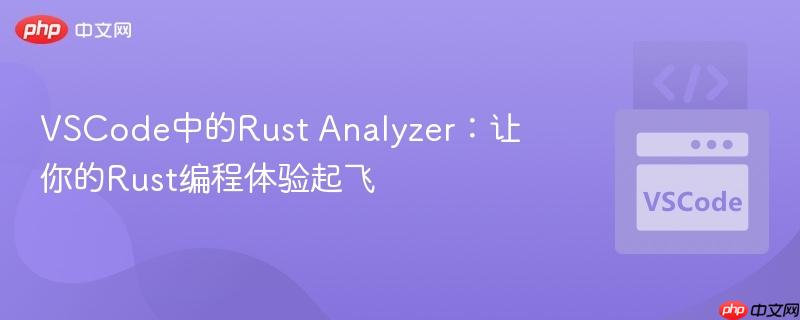 VSCode中的Rust Analyzer：让你的Rust编程体验起飞