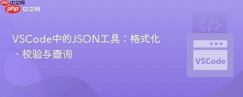 VSCode中的JSON工具:格式化、校验与查询 VSCode中的JSON工具:格式化、校验与查询