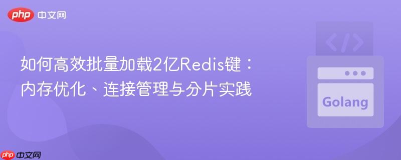 如何高效批量加载2亿Redis键：内存优化、连接管理与分片实践