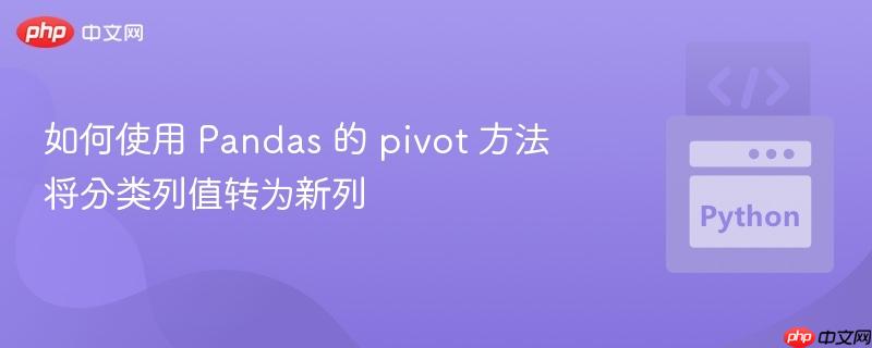 如何使用 Pandas 的 pivot 方法将分类列值转为新列