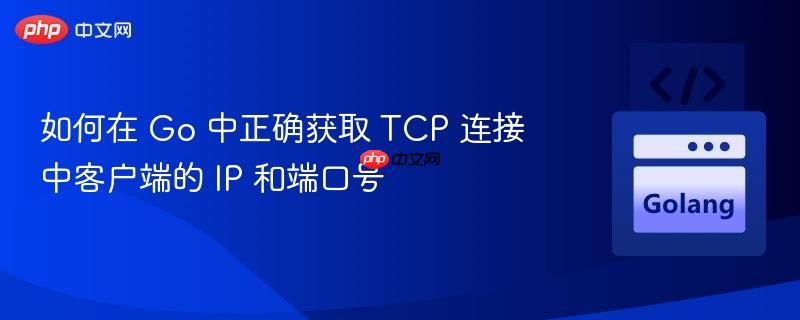 如何在 Go 中正确获取 TCP 连接中客户端的 IP 和端口号