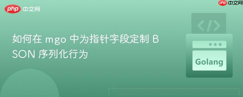 如何在 mgo 中为指针字段定制 BSON 序列化行为 如何在 mgo 中为指针字段定制 BSON 序列化行为