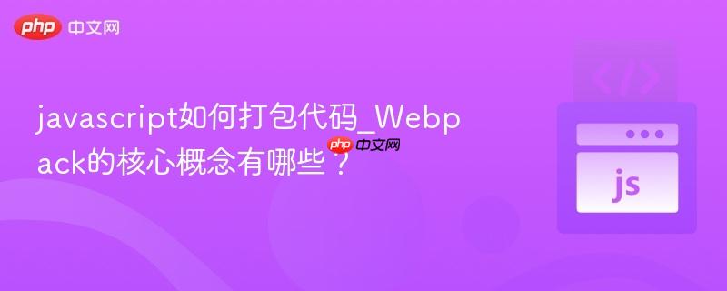 javascript如何打包代码_Webpack的核心概念有哪些？