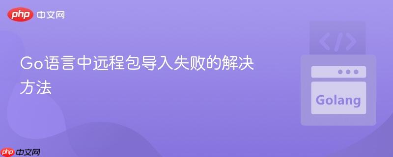 Go语言中远程包导入失败的解决方法