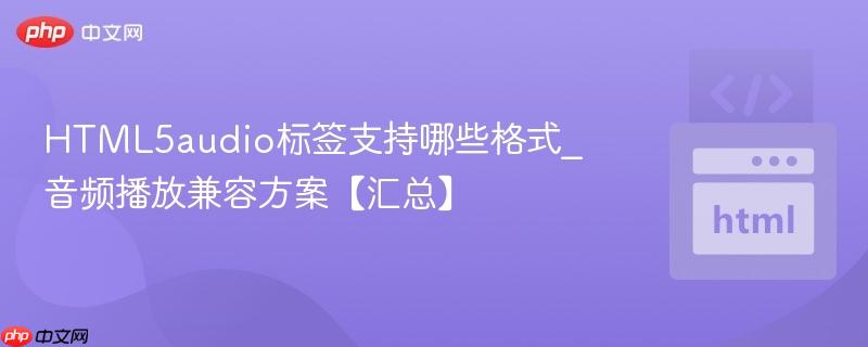 HTML5audio标签支持哪些格式_音频播放兼容方案【汇总】