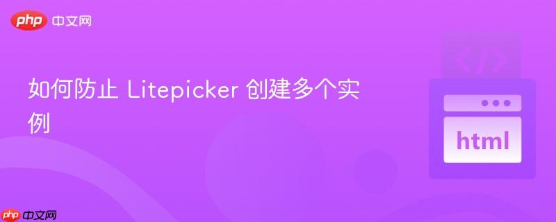 如何防止 Litepicker 创建多个实例