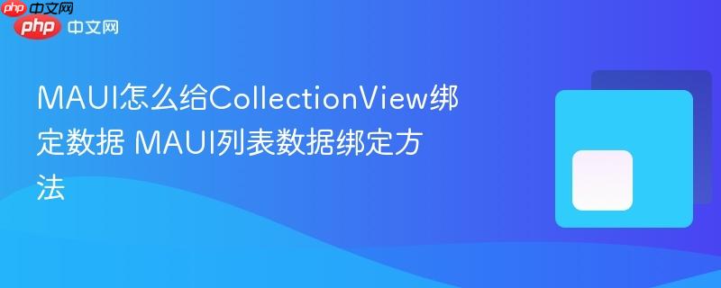 MAUI怎么给CollectionView绑定数据 MAUI列表数据绑定方法