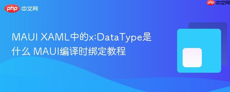 MAUI XAML中的x:DataType是什么 MAUI编译时绑定教程