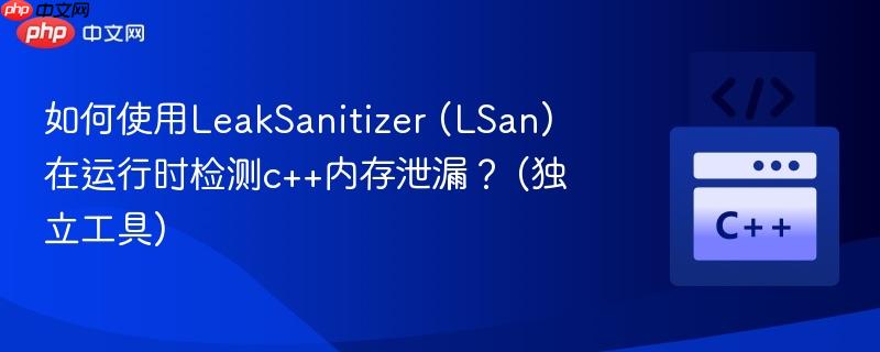 如何使用LeakSanitizer (LSan) 在运行时检测c++内存泄漏？ (独立工具)
