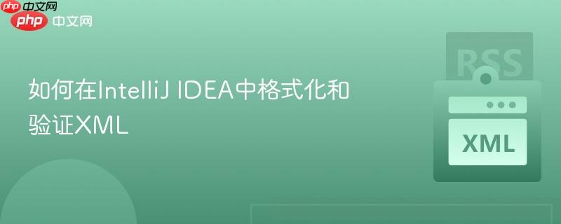 如何在IntelliJ IDEA中格式化和验证XML