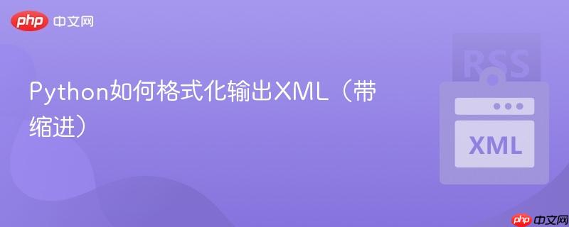 Python如何格式化输出XML（带缩进）