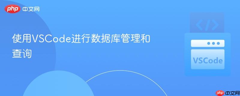 使用VSCode进行数据库管理和查询 使用VSCode进行数据库管理和查询