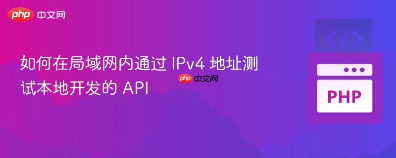 如何在局域网内通过 IPv4 地址测试本地开发的 API