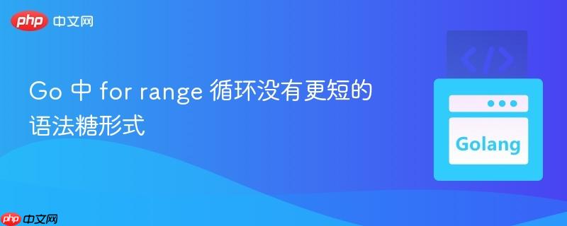 Go 中 for range 循环没有更短的语法糖形式