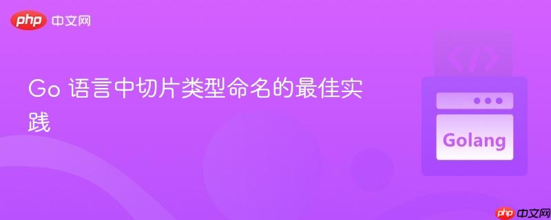 Go 语言中切片类型命名的最佳实践