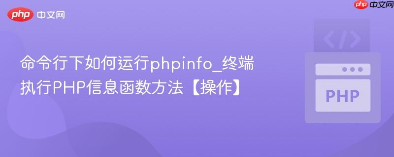 命令行下如何运行phpinfo_终端执行PHP信息函数方法【操作】