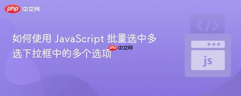 如何使用 JavaScript 批量选中多选下拉框中的多个选项