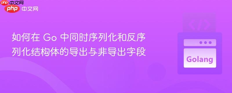 如何在 Go 中同时序列化和反序列化结构体的导出与非导出字段