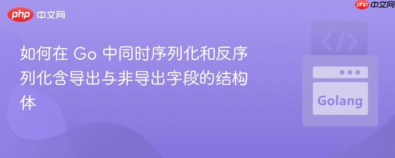 如何在 Go 中同时序列化和反序列化含导出与非导出字段的结构体