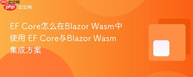 EF Core怎么在Blazor Wasm中使用 EF Core与Blazor Wasm集成方案
