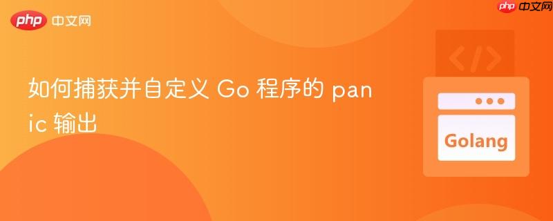 如何捕获并自定义 Go 程序的 panic 输出