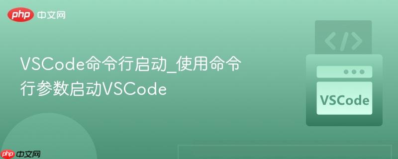 VSCode命令行启动_使用命令行参数启动VSCode