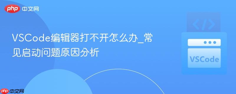VSCode编辑器打不开怎么办_常见启动问题原因分析