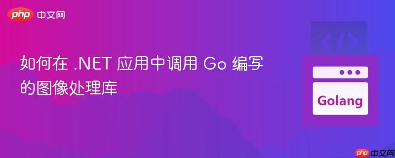 如何在 .NET 应用中调用 Go 编写的图像处理库